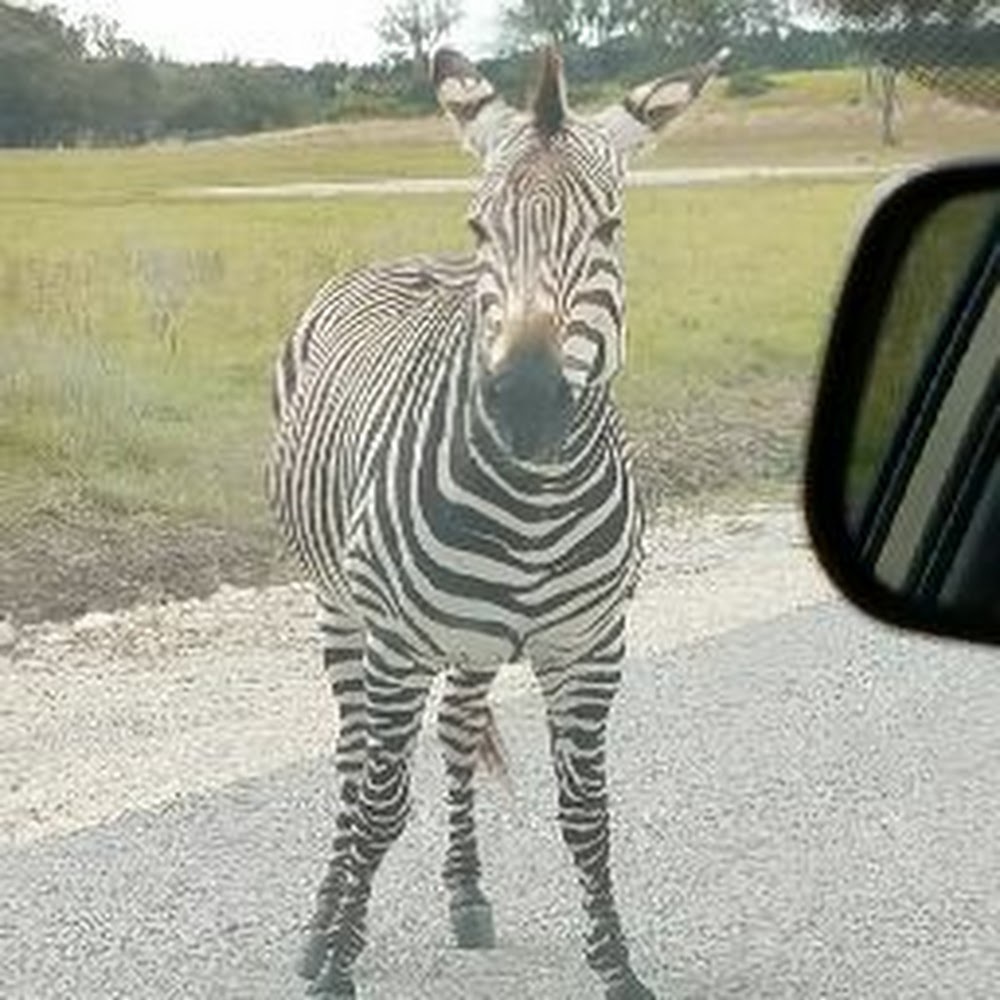 Meet your Posher, Vanessah